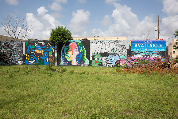 20160804_Wynwood_9C7C0167