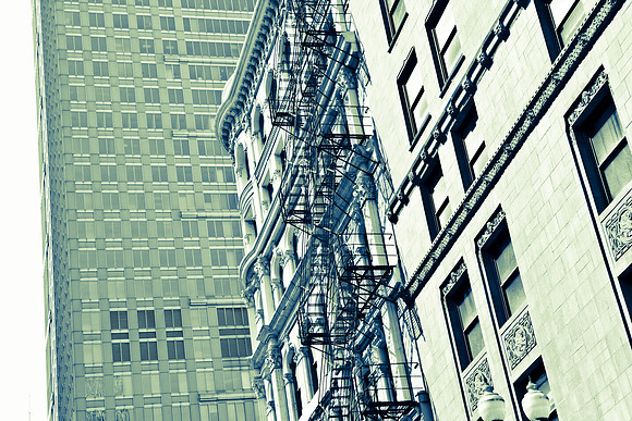 0015_DG_Chicago_USA_2009_5L8Y1252