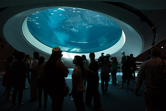 20170508_Science_Museum_9C7C5569