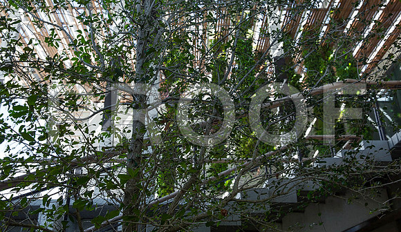20140801_Pamm_9C7C7944