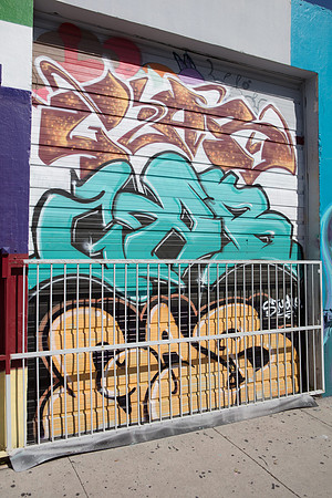 20161108_Wynwood_H5D2700