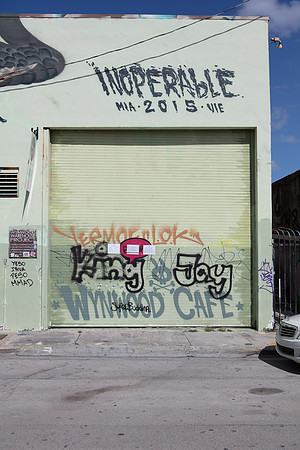 20161108_Wynwood_H5D2858