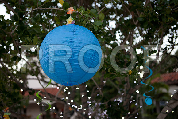 IMG_1792