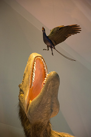 20170508_Science_Museum_9C7C5708