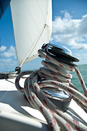 shutterstock_51961894