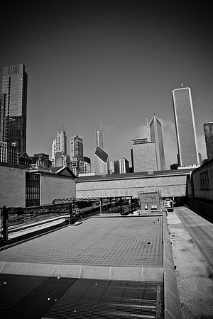 0015_DG_Chicago_USA_2009_5L8Y1015