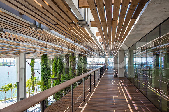 20140801_Pamm_9C7C8016