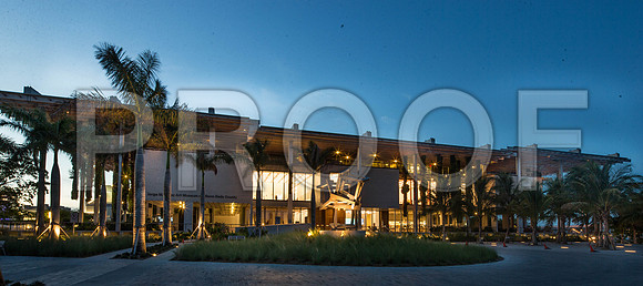 20140821_Pamm_CG3P1036