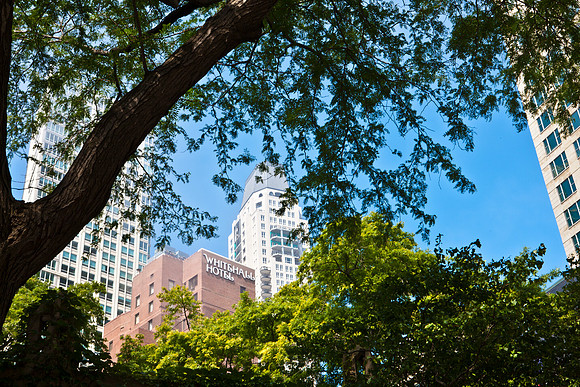 0015_DG_Chicago_USA_2009_5L8Y0780