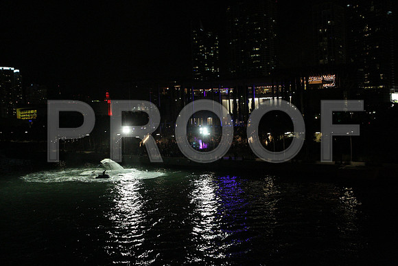 20141204_Pamm_Basel_2014_AL1B6521