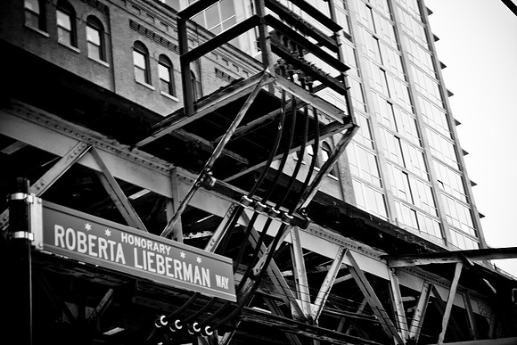 0016_DG_Chicago_Illinois_5L8Y3072