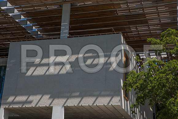 20140801_Pamm_9C7C7953