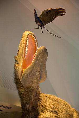 20170508_Science_Museum_9C7C5709
