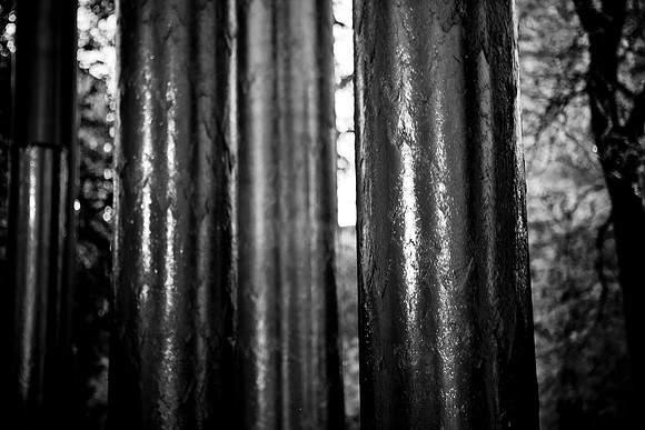 0016_DG_Minneapolis_Minnesota_South_5L8Y3361