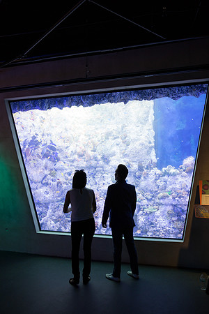 20170508_Science_Museum_9C7C5395