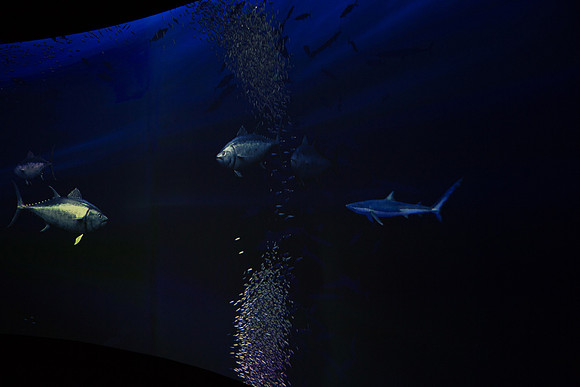 20170508_Science_Museum_9C7C5420
