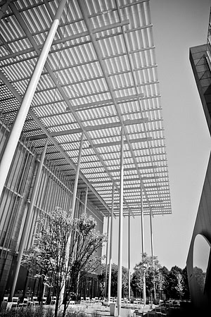 0015_DG_Chicago_USA_2009_5L8Y1095