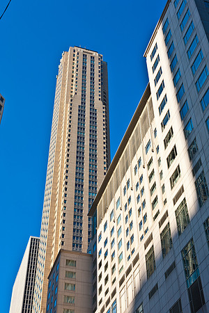 0015_DG_Chicago_USA_2009_5L8Y1602