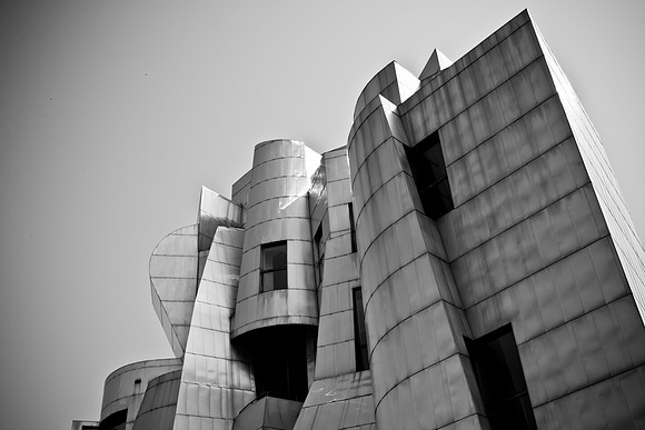 0017_DG_Minneapolis_Minnesota_South_5L8Y3760