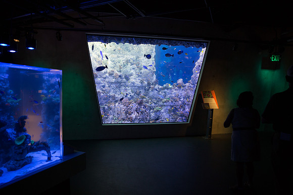 20170508_Science_Museum_9C7C5352