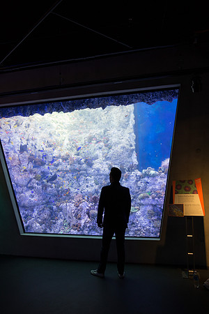 20170508_Science_Museum_9C7C5393