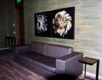 3051_Miami_2008_IMG_0082