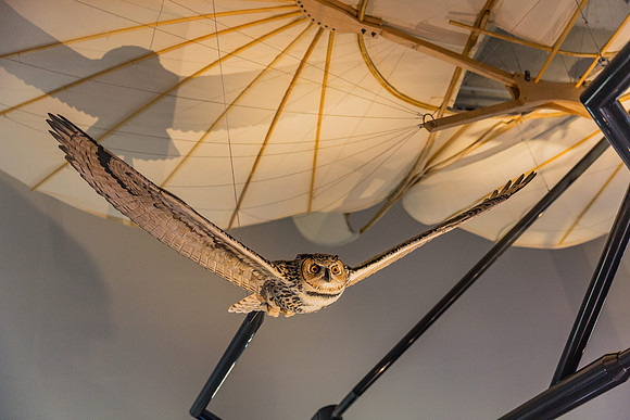 20170508_Science_Museum_9C7C5703