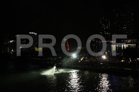 20141204_Pamm_Basel_2014_AL1B6676