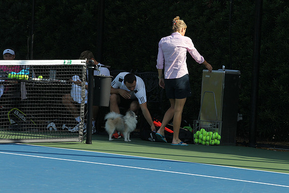 20141224_CAROLINE_WOZNIACKI_AL1B1167