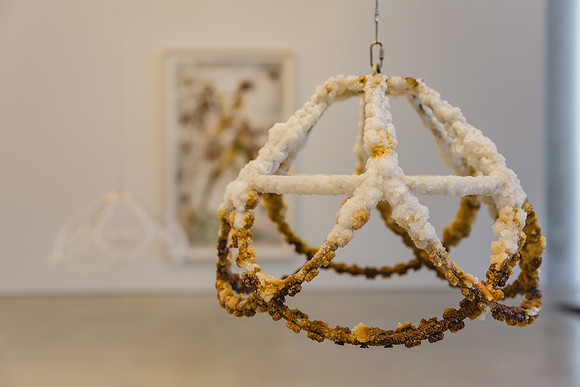 20150530_Pamm_Exhibition_Linda_9C7C8002