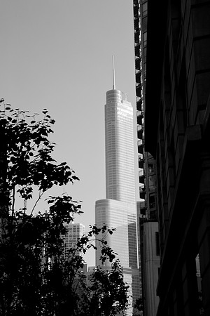0015_DG_Chicago_USA_2009_5L8Y1590