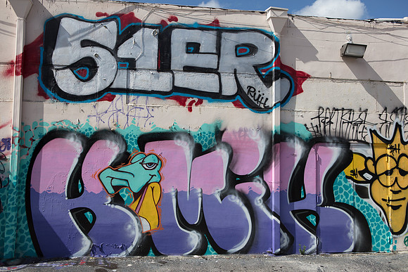 20161108_Wynwood_H5D2892