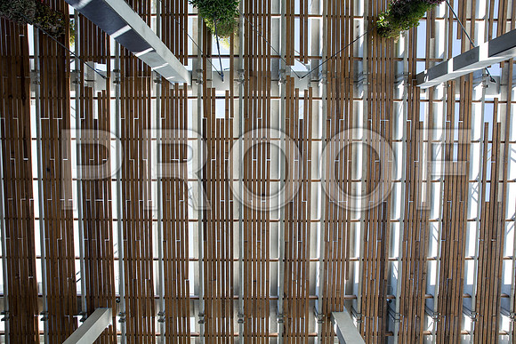 20140801_Pamm_9C7C7872