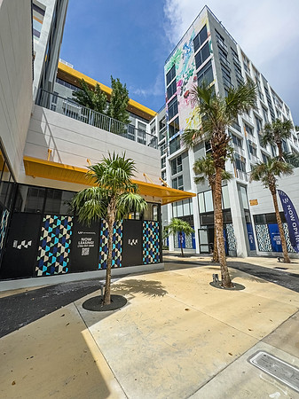 DN20240820_AMLI_)Wynwood_MoriartyIMG_6421_DN-severe-noise