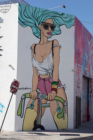 20161122_Wynwood_S5D1619