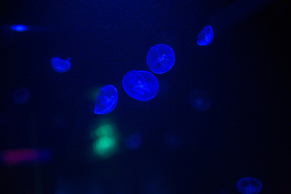20170508_Science_Museum_9C7C5576
