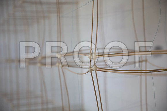 20140228_FIU_Nick_EXB_9C7C1353