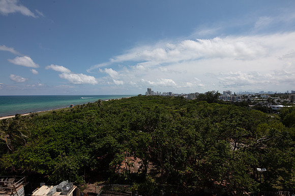 20180619_87_Park_75A3158