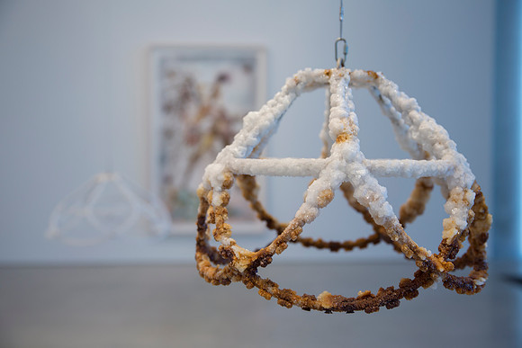 20150530_Pamm_Exhibition_Linda_9C7C8002