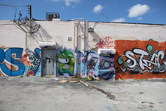 20161108_Wynwood_H5D2887