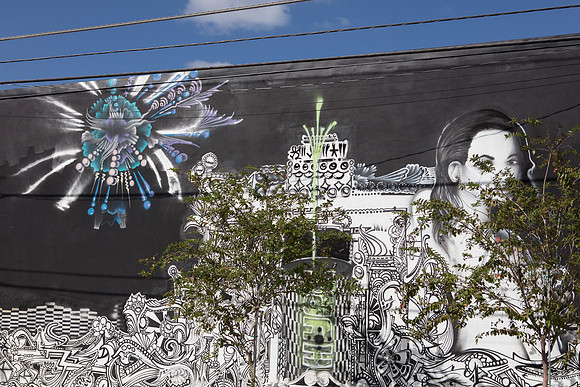 20161108_Wynwood_S5D2954