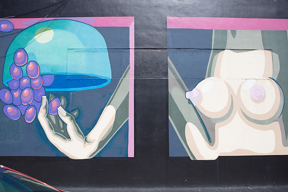 20161108_Wynwood_H5D2872