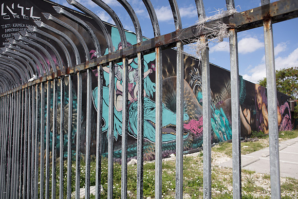 20161108_Wynwood_H5D2931