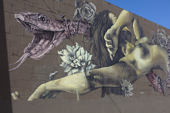 20161108_Wynwood_H5D2793