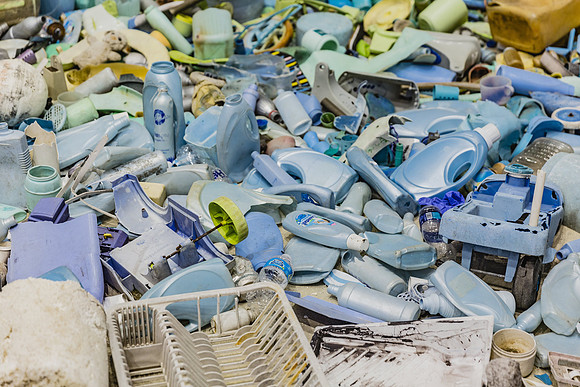 20150707_Pamm_9C7C3514