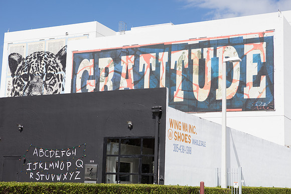 20161108_Wynwood_H5D2907