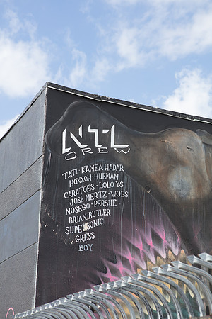 20161108_Wynwood_H5D2930