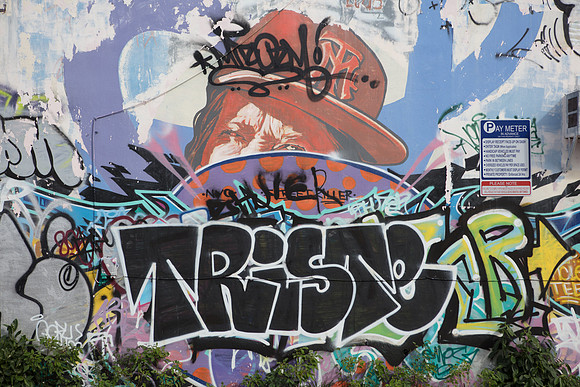 20161108_Wynwood_S5D3205