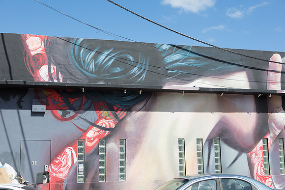 20161108_Wynwood_H5D2854