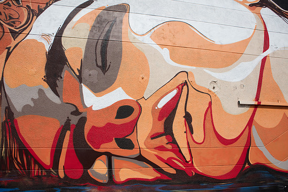 20161108_Wynwood_H5D2925